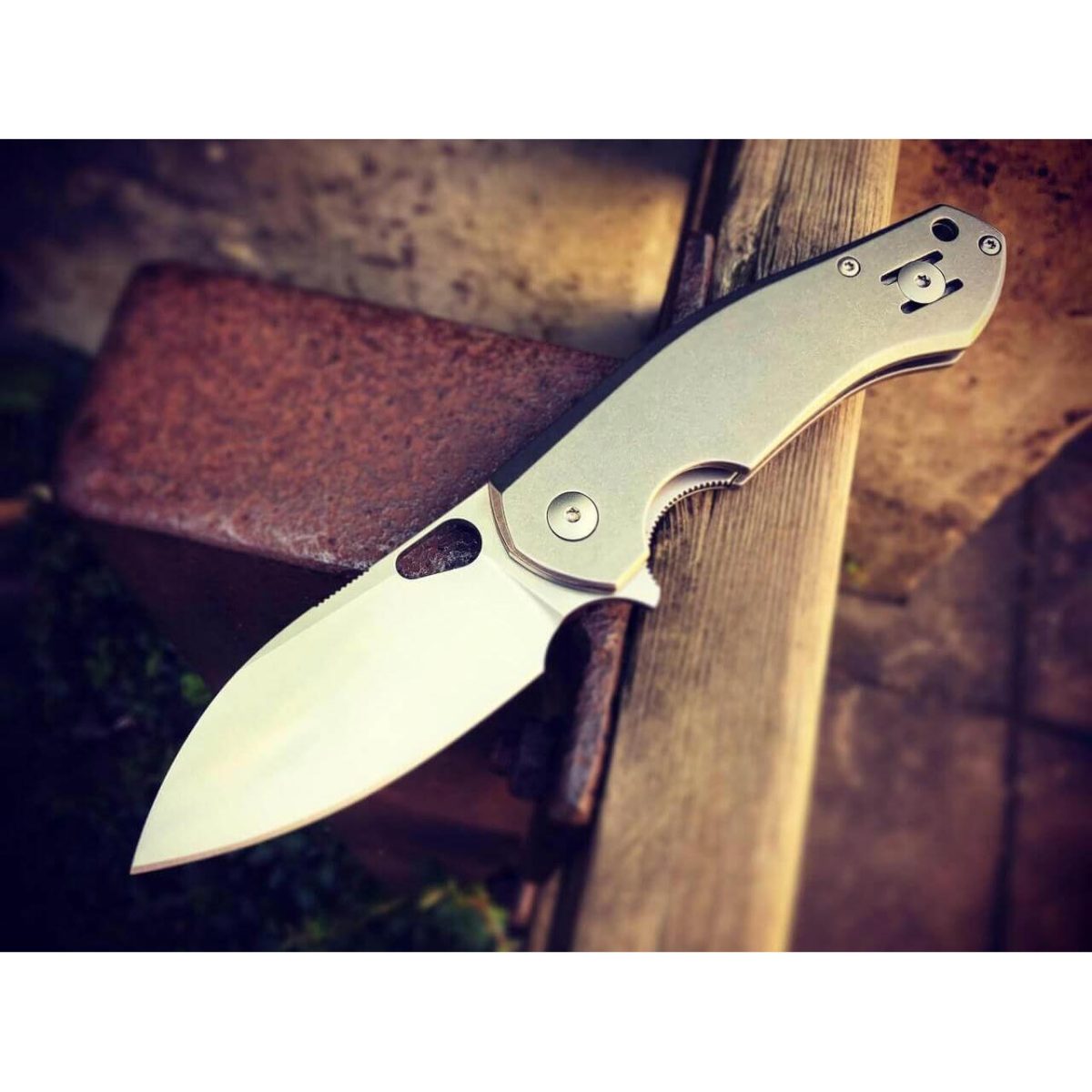 01GM004-6