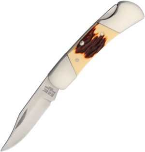 BCSD26