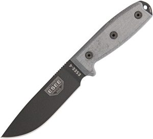 ES4PB