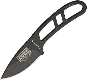 ESCANB