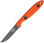 ESCR25OR