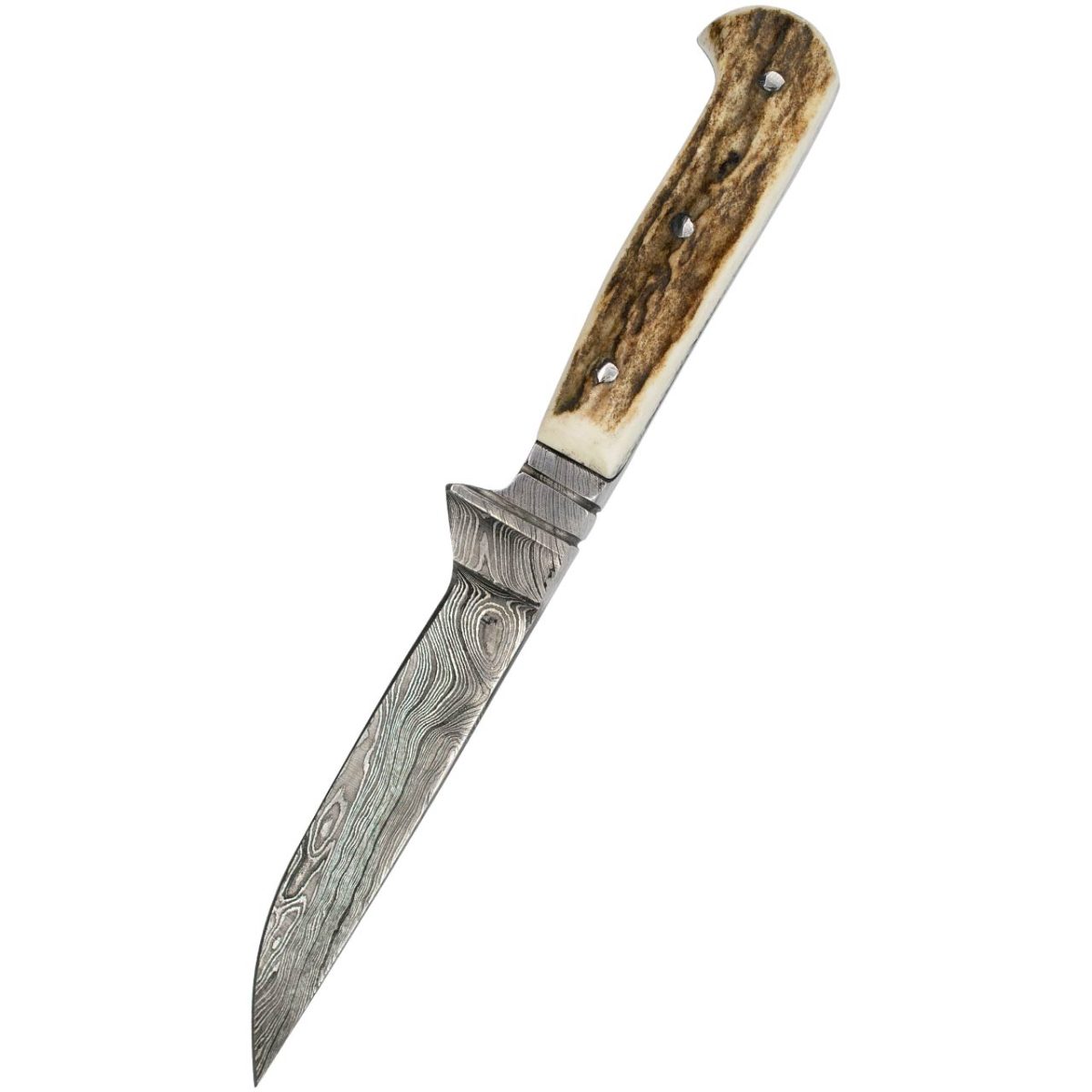 GC3025-2
