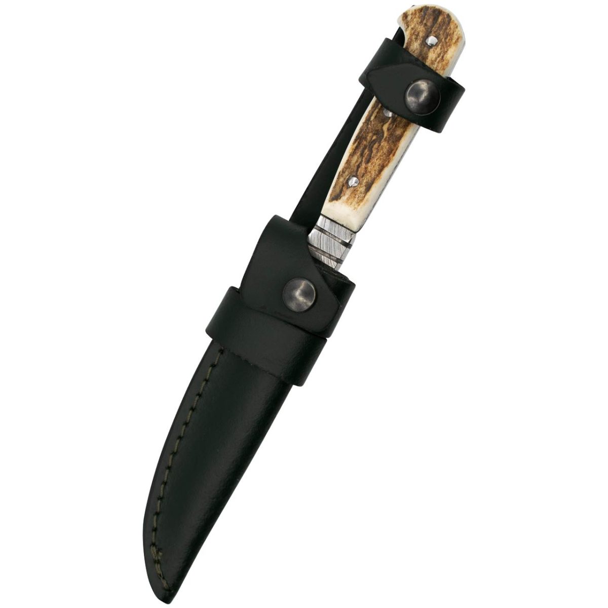 GC3025-3