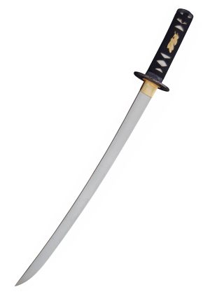 HN-SH2422_hanwei_raptor_wakizashi
