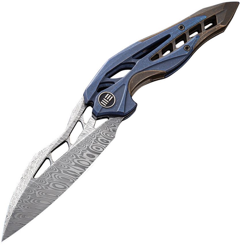 WE906DS1