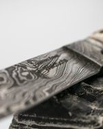 _DSC3781