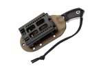 pf-cosw-009