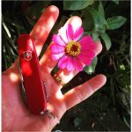 pocket-knife-victorinox-huntsman-15-functions-d662a8a0e5c94787a412320a8feb4bb6-c128464a