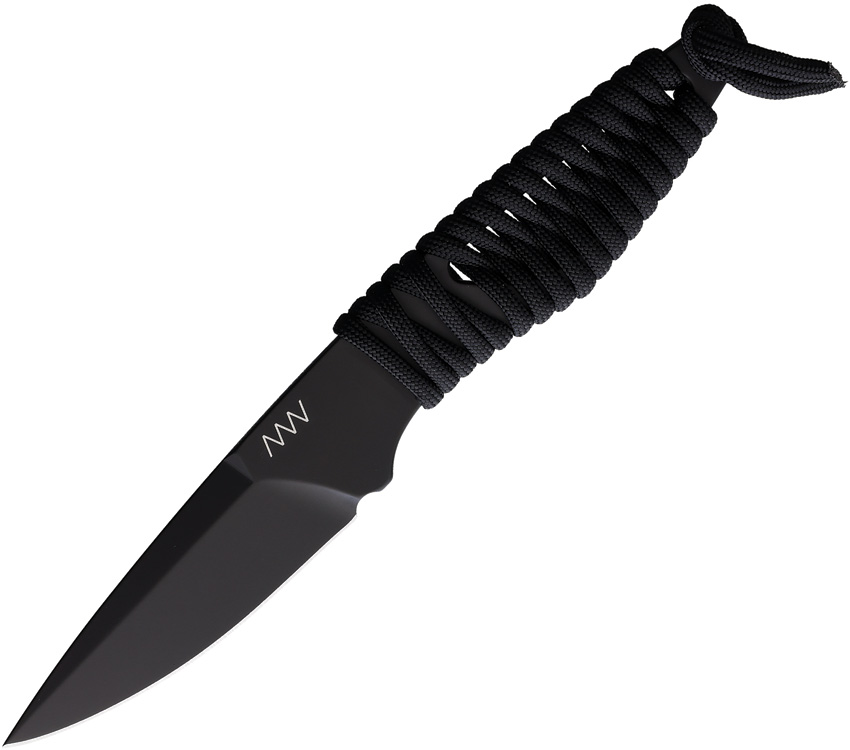 ANVP100037