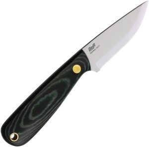 BRI66437