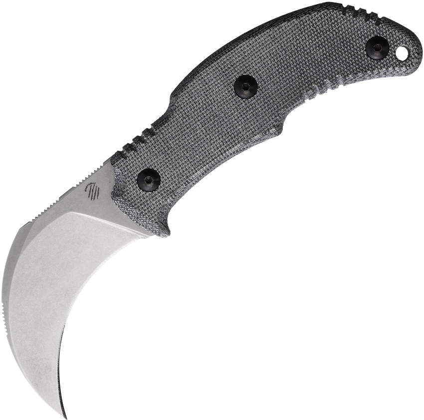 BAS256