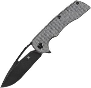KT1001M1