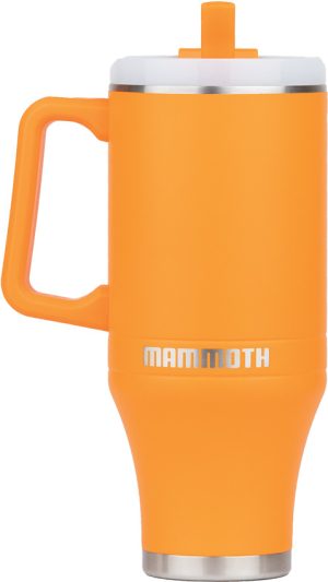 MAMM25004