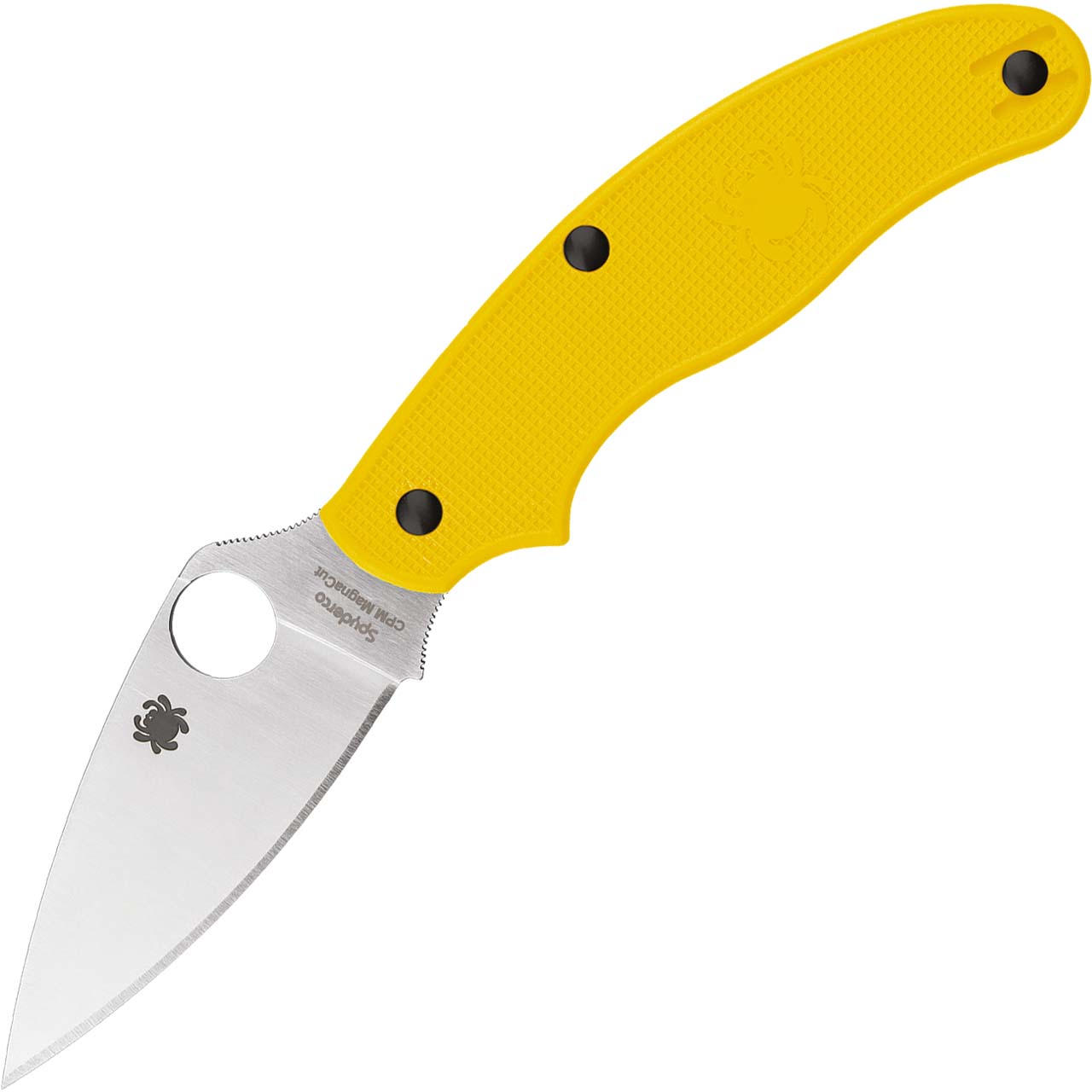 01_C94PYL.jpg