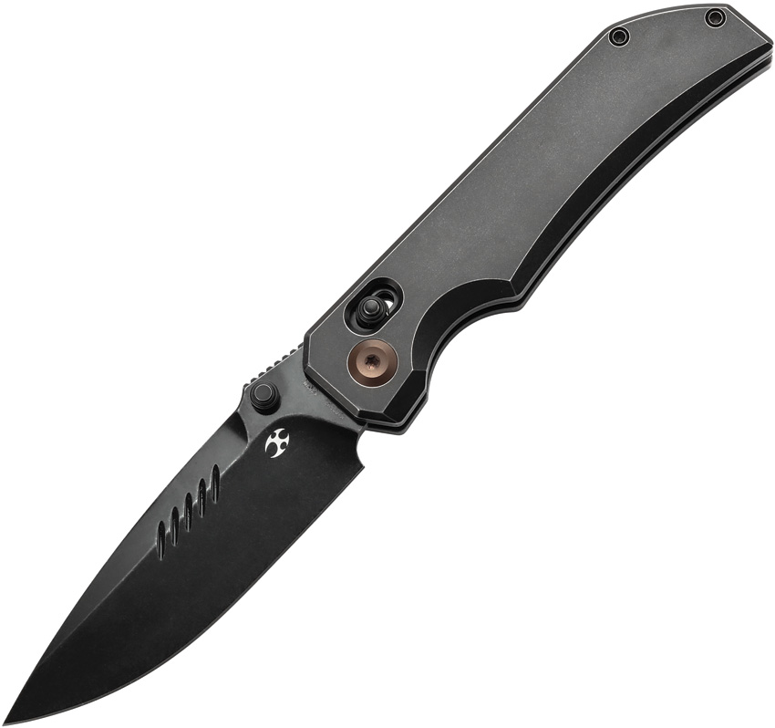 K1095V2