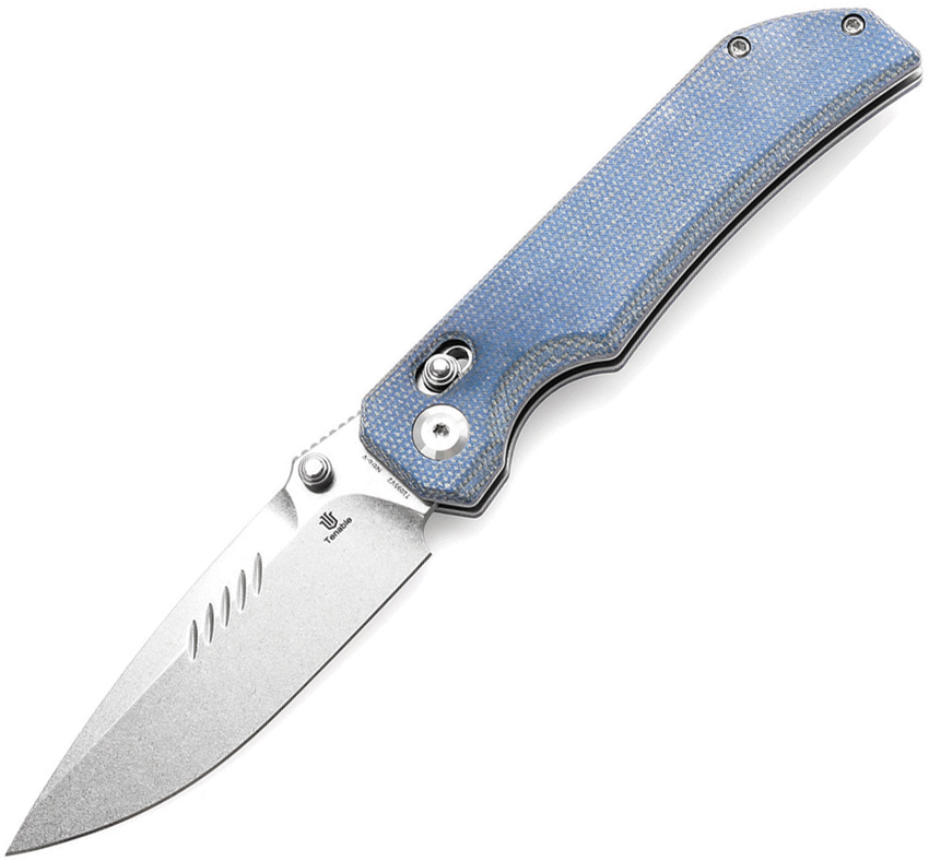 T1095V2